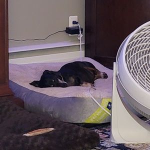 Meet your Posher, Kyle